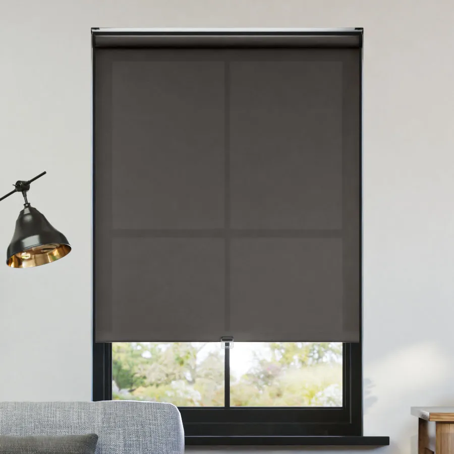 Sleek Light Filtering Roller Shades